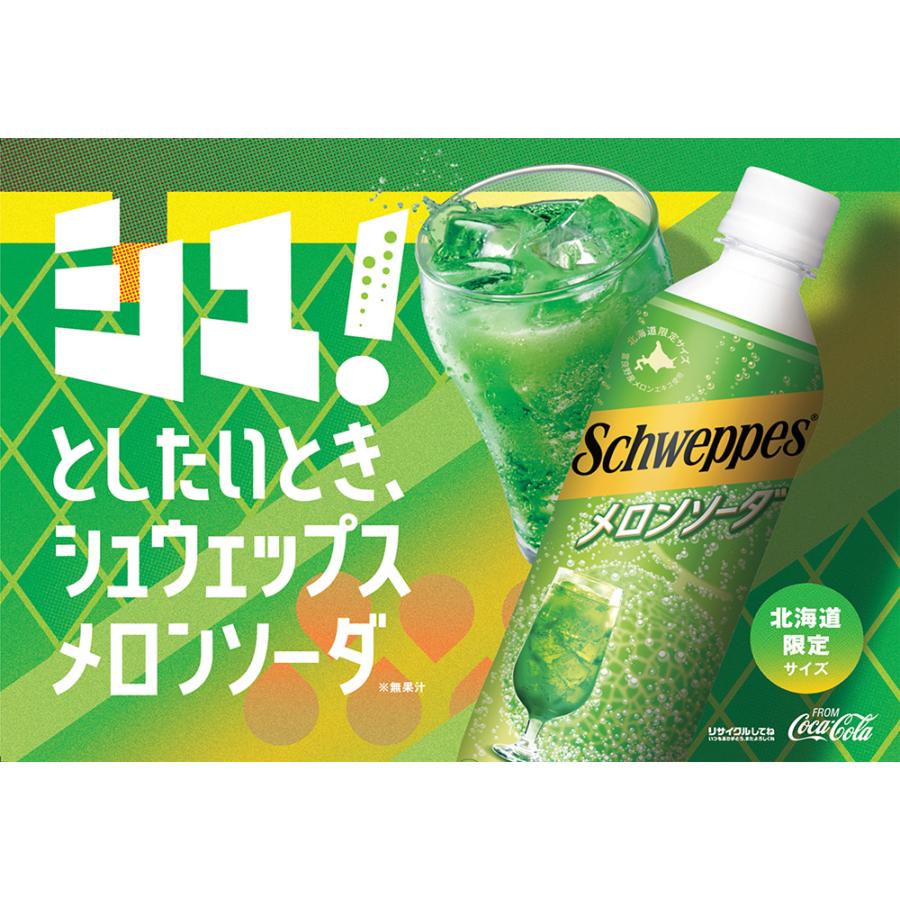 シュウェップス コカコーラ メロンソーダ 48本(24本×2ケース) 送料無料