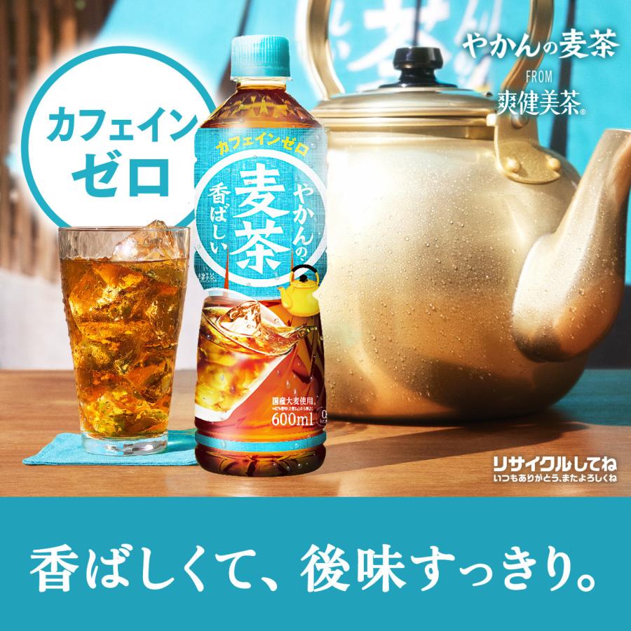 ●エントリーでP20％付与● お茶 ペットボトル 麦茶 ノンカフェイン ソフトドリンク やかんの麦茶 600mlPET×48本 送料無料｜hkbussan｜02