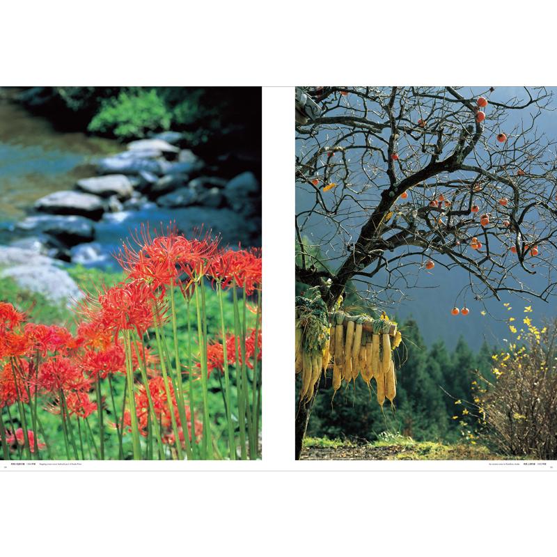 古色大和路 小売業者 佛像大和路・古色大和路～入江泰吉写真集(入江泰