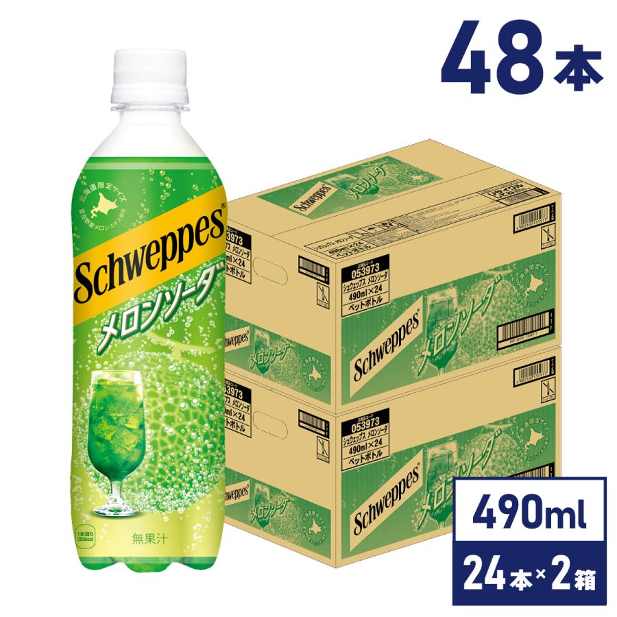 シュウェップス 炭酸 ジュース メロン ペットボトル メロンソーダ