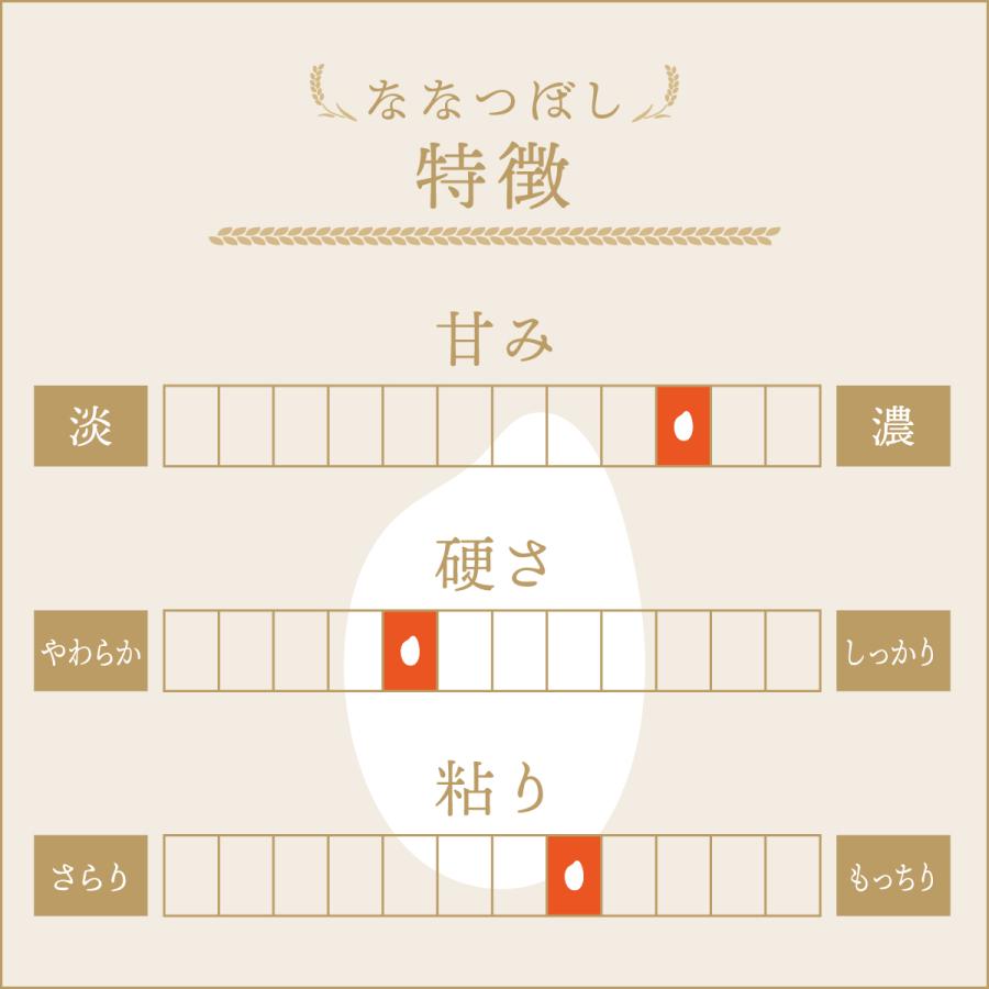 新米 令和7年産 北海道産 米 ななつぼし 北海道中央食糧  ななつぼし 5kg×2袋セット 10kg  ブランド米 備蓄米 送料無料 | ななつぼし | 01