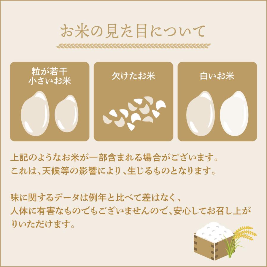 新米 令和7年産 北海道産 米 ななつぼし 北海道中央食糧  ななつぼし 5kg×2袋セット 10kg  ブランド米 備蓄米 送料無料 | ななつぼし | 03