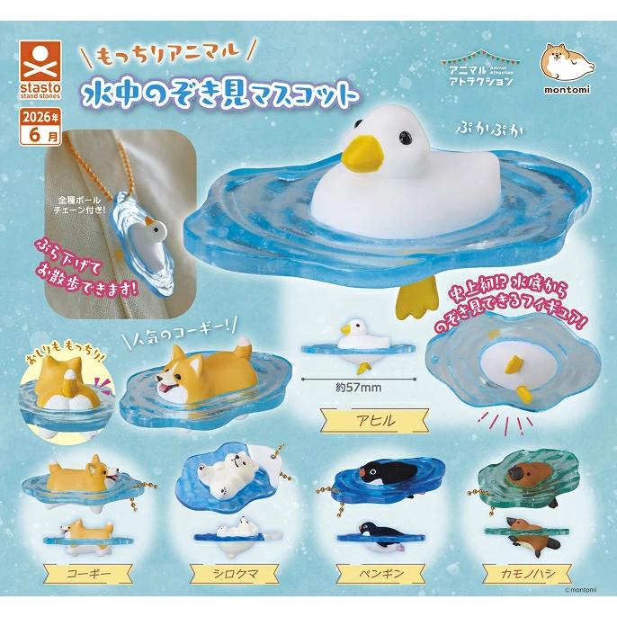 2026年6月予約 ガチャ【もっちりアニマル 水中のぞき見マスコット 5種セット コンプリート】ガチャガチャ カプセルトイ ガチャ フルコンプ（Yahoo!・ホビーライフYahoo!店）