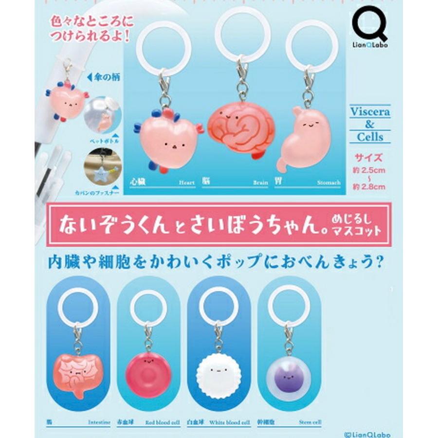 2026年10月予約 ガチャ【ないぞうくんとさいぼうちゃん。めじるし