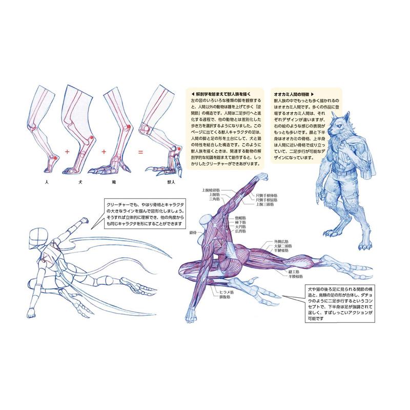 人体 ドローイング の キムラッキ