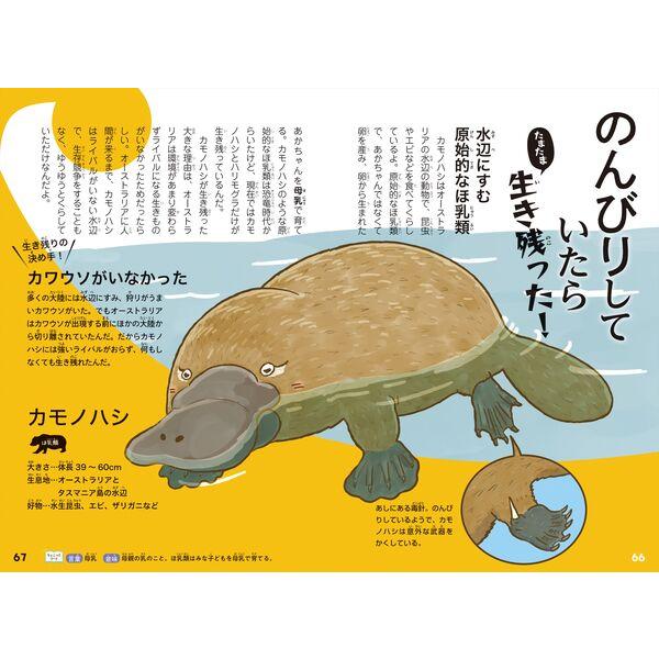 99％が運！？ 絶滅しなかった生きもののヒミツ : 枚方 蔦屋書店 Yahoo