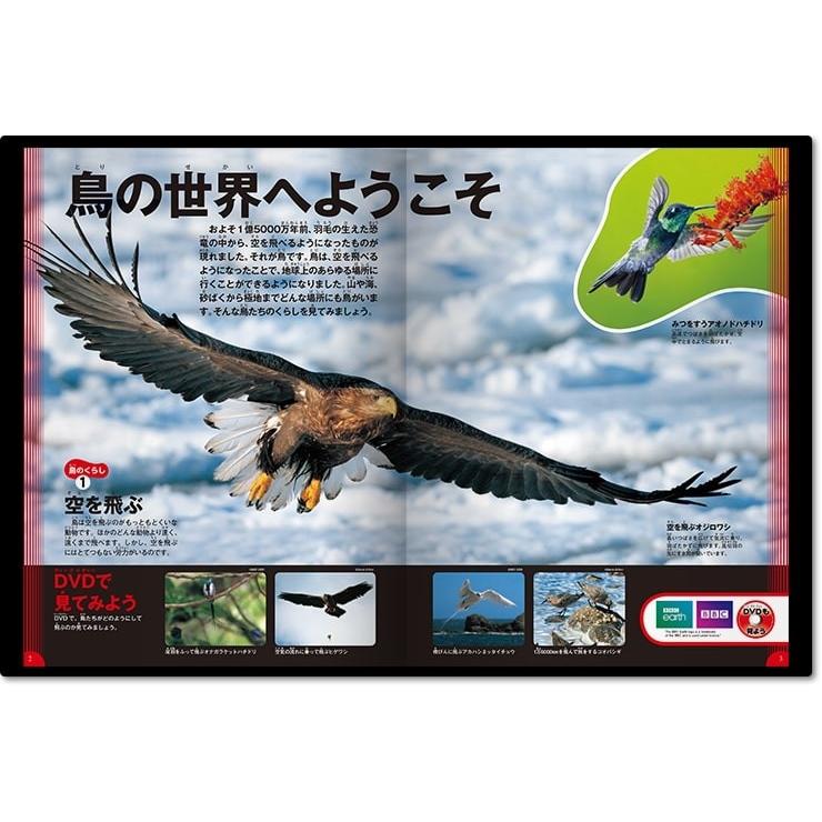 (学研の図鑑LIVE) DVD付 鳥｜hkt-tsutayabooks｜03