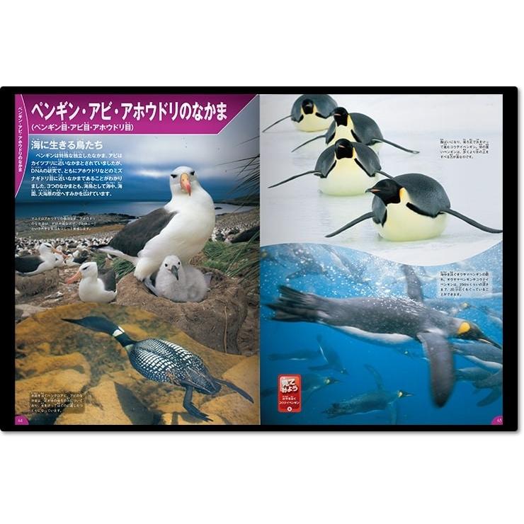 学研の図鑑LIVE) DVD付 鳥 : 枚方 蔦屋書店 Yahoo!店 - 通販 - Yahoo