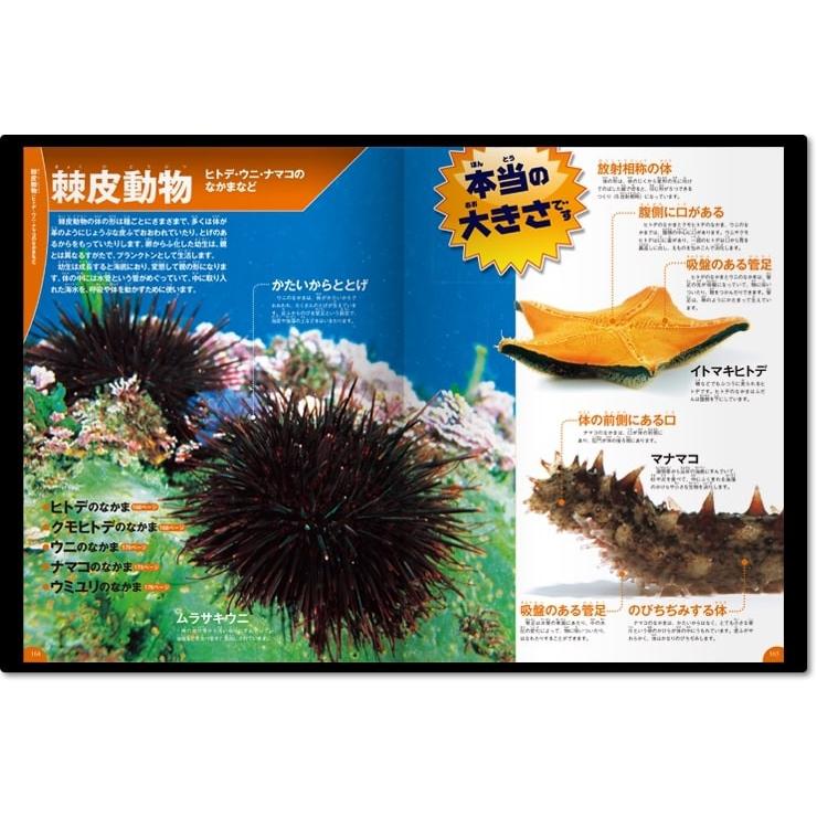 学研の図鑑live Dvd付 水の生き物 Kizu9784052043277j 枚方 蔦屋書店 Yahoo 店 通販 Yahoo ショッピング