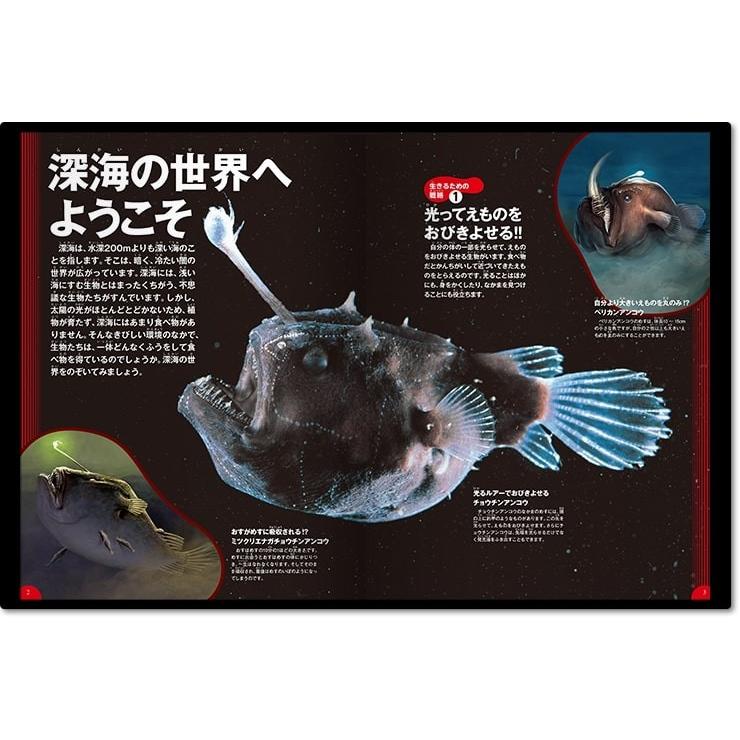 学研の図鑑live Dvd付 深海生物 Kizuj 枚方 蔦屋書店 Yahoo 店 通販 Yahoo ショッピング