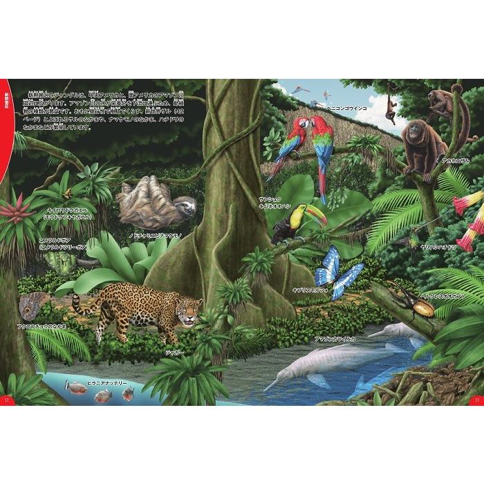 学研の図鑑live Dvd付 ジャングルの生き物 Kizuj 枚方 蔦屋書店 Yahoo 店 通販 Yahoo ショッピング