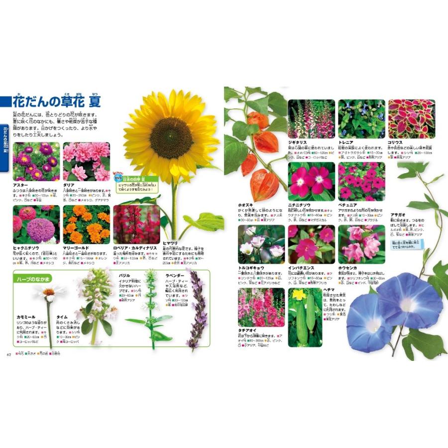 講談社の動く図鑑move Dvd付 植物 Kizuj 枚方 蔦屋書店 Yahoo 店 通販 Yahoo ショッピング