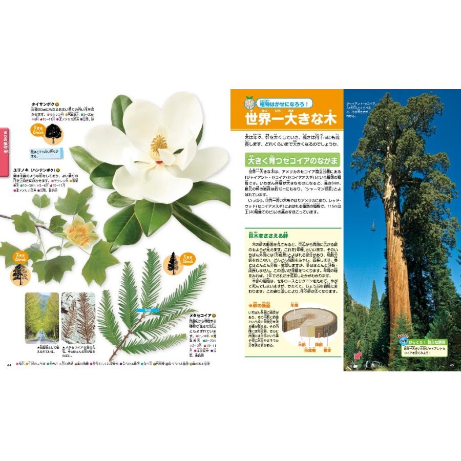 講談社の動く図鑑move Dvd付 植物 Kizuj 枚方 蔦屋書店 Yahoo 店 通販 Yahoo ショッピング