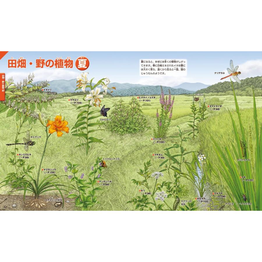 講談社の動く図鑑move Dvd付 植物 Kizuj 枚方 蔦屋書店 Yahoo 店 通販 Yahoo ショッピング