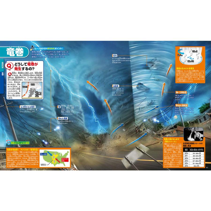 講談社の動く図鑑MOVE) WONDER MOVE まるみえ図鑑 : 枚方 蔦屋書店