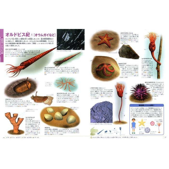 小学館の図鑑NEO) 大むかしの生物 : 枚方 蔦屋書店 Yahoo!店 - 通販