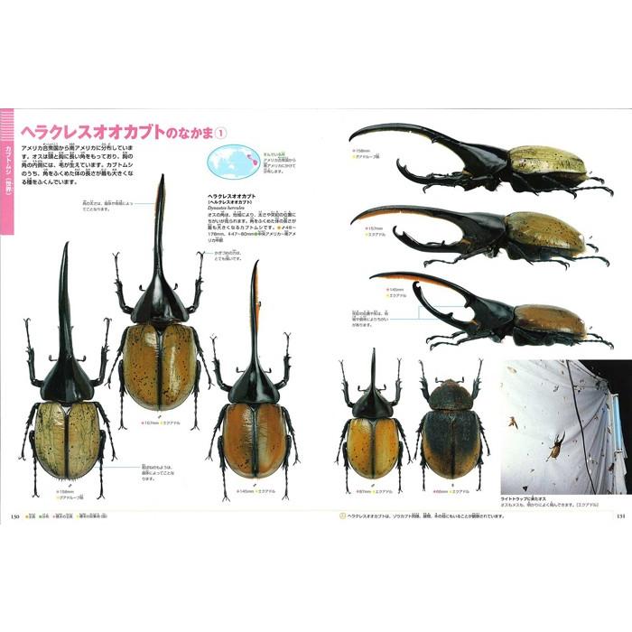(小学館の図鑑NEO) カブトムシ・クワガタムシ (小学館の図鑑NEO) カブトムシ・クワガタムシ
