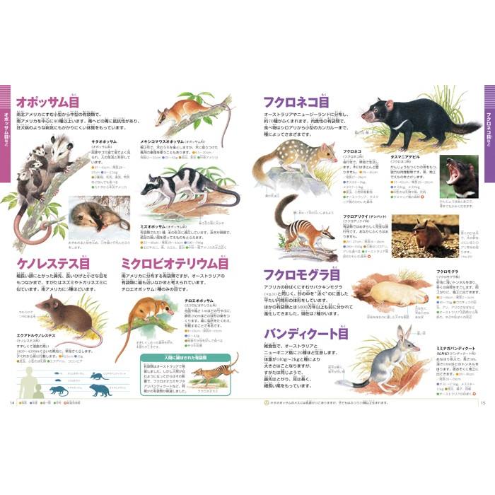 小学館の図鑑NEO) 動物 DVDつき : 枚方 蔦屋書店 Yahoo!店 小学館の図鑑NEO) 動物 DVDつき : 枚方 蔦屋書店 Yahoo!店