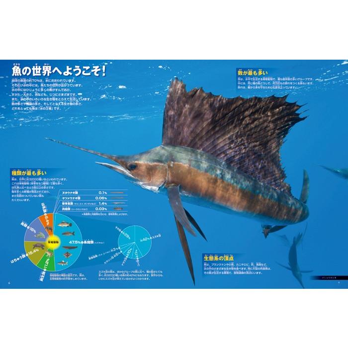 (小学館の図鑑NEO) ［新版］魚　ＤＶＤつき｜hkt-tsutayabooks｜03
