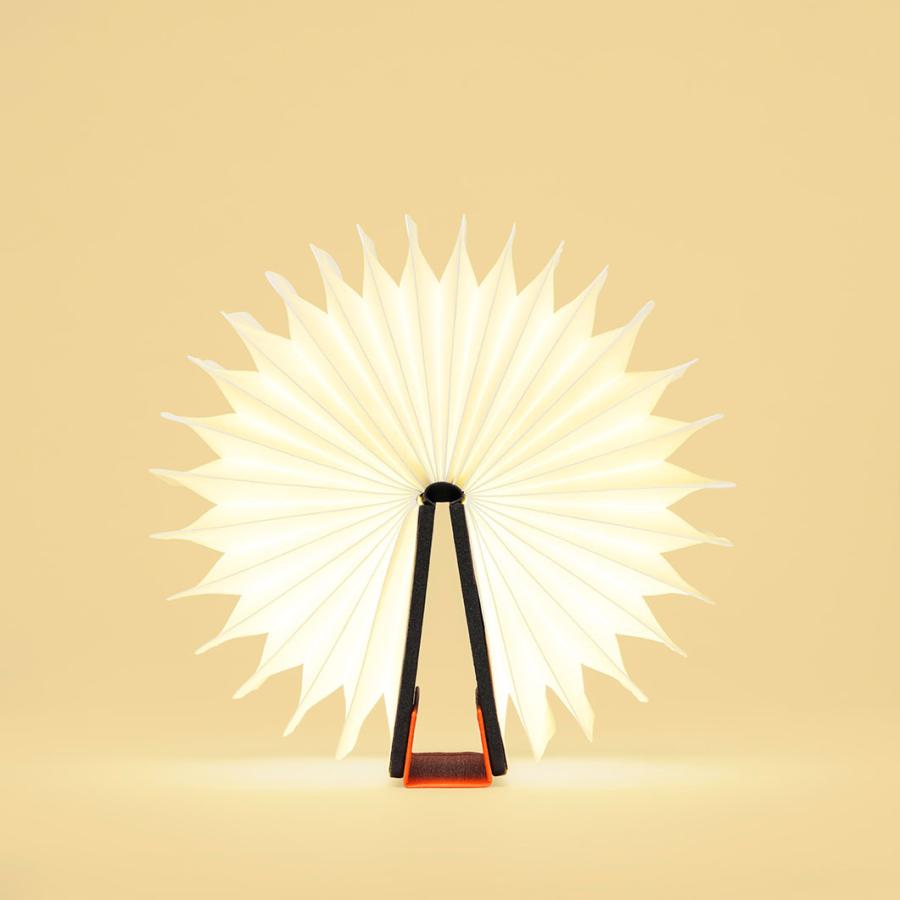 激レア希少品リゼロLumio+ 充電式ポータブルライトレムモデル