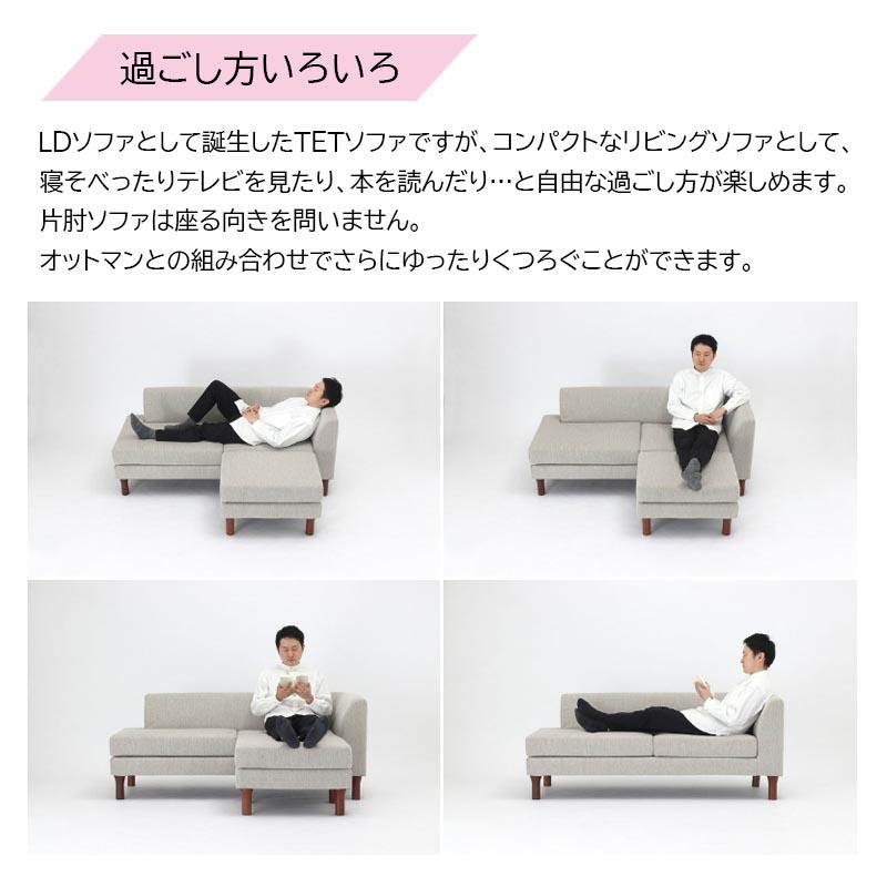テット カウチ ソファ 2P 二人掛け ファブリック フルカバーリング 