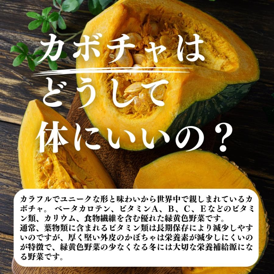パンプキン 粉末 1kg かぼちゃ パウダー カボチャ 野菜 パウダー｜hl-labo｜08