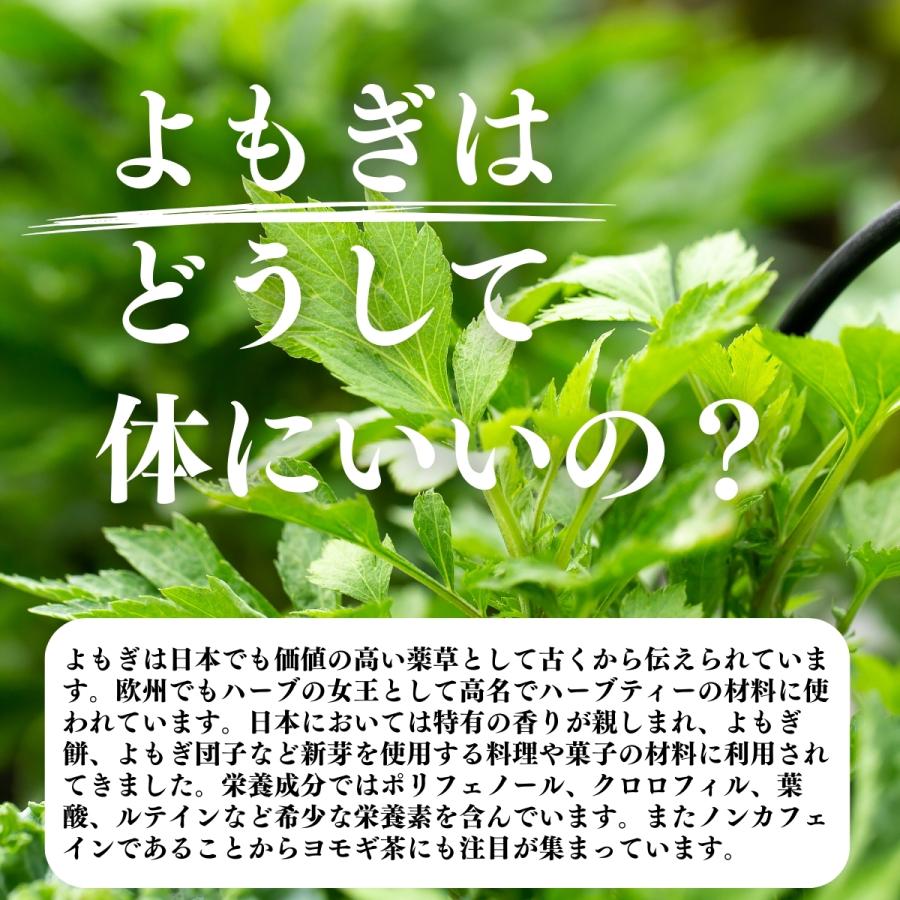 よもぎ粉末 100g よもぎパウダー よもぎ茶 ヨモギ粉 国産 | 自然健康社 | 02