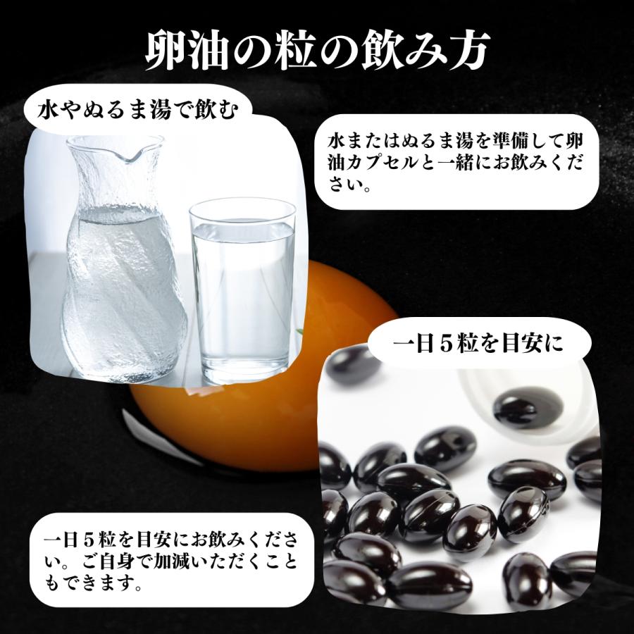 自然健康社 卵油の粒 90g 卵油 カプセル 卵黄油 サプリ レシチン 有精