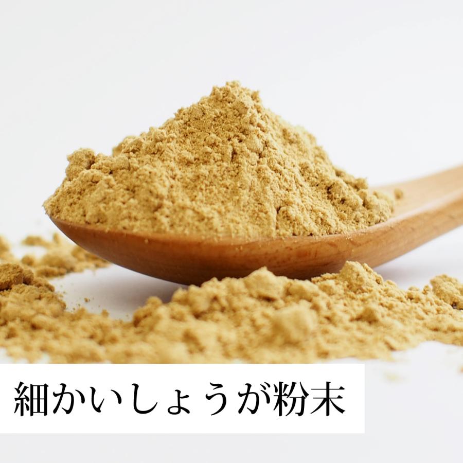 しょうが 粉末 100g 生姜 パウダー ショウガ 粉末 国産｜hl-labo｜05