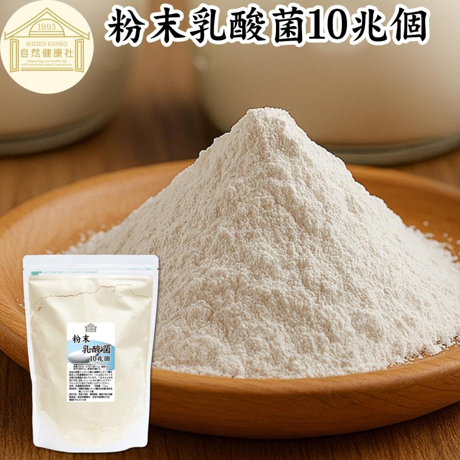 自然健康社 粉末乳酸菌 10兆個 1kg