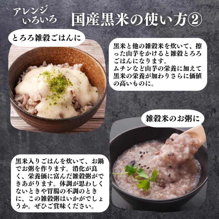 自然健康社 黒米 1kg 国産 くろまい 雑穀米 古代米 朝紫 もち米 玄米