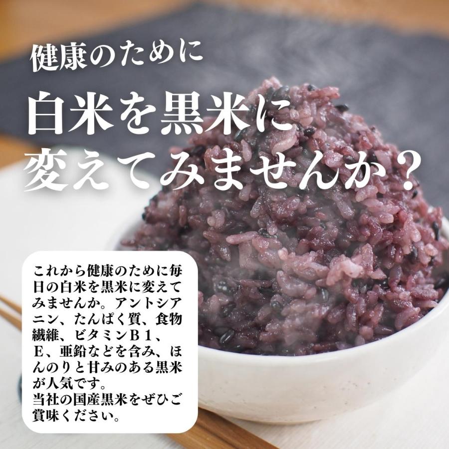 自然健康社 黒米 1kg 国産 くろまい 雑穀米 古代米 朝紫 もち米 玄米