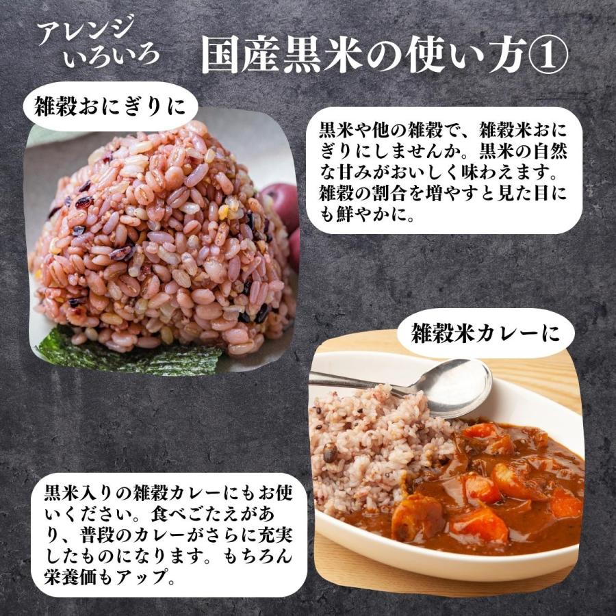 自然健康社 黒米 1kg 国産 くろまい 雑穀米 古代米 朝紫 もち米 玄米
