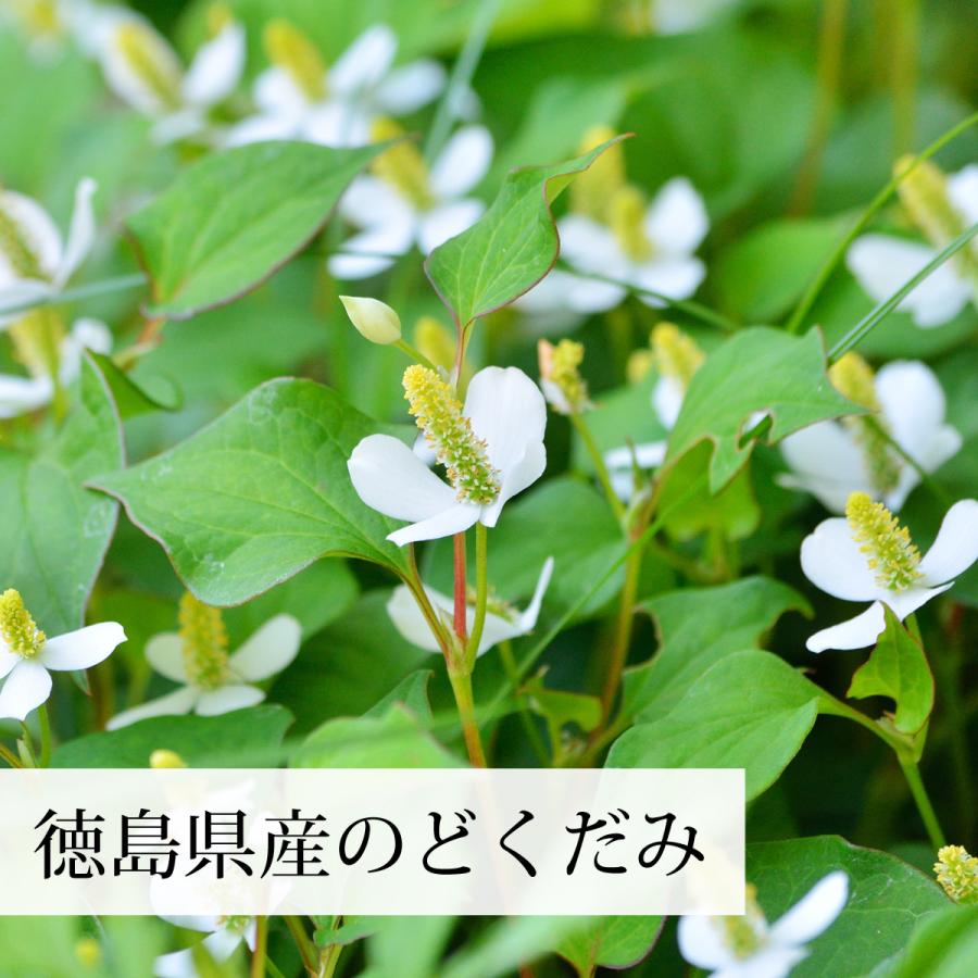 自然健康社 どくだみ極上200g×2個 乾燥 ドクダミ 国産 徳島県産 無添加