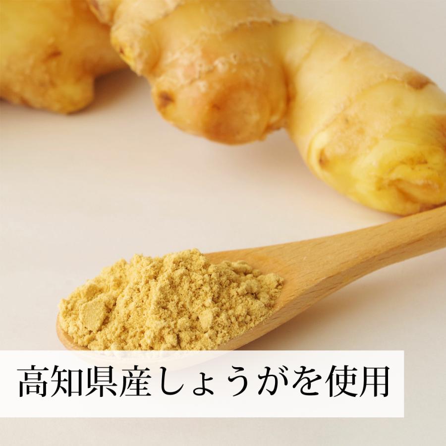 21人気no 1の しょうが 粉末 500g 2個 生姜 パウダー ショウガ 国産 Cisama Sc Gov Br