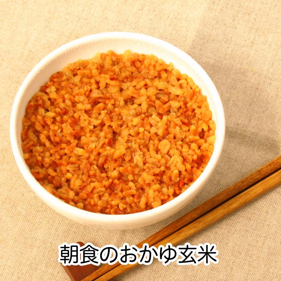 自然健康社 少食・七日断食×4個 ファスティングセット 一週間