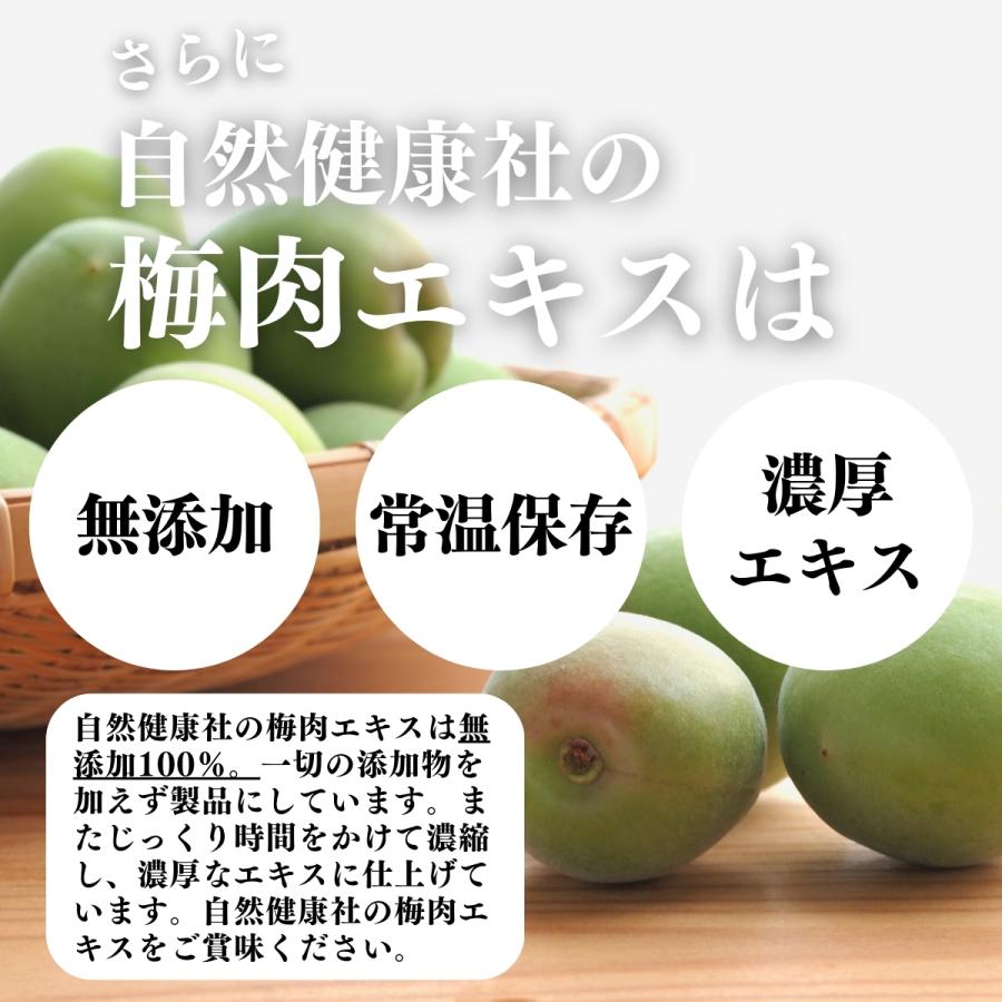 梅肉エキス 140g×5個 梅エキス 無添加 紀州 和歌山県産 ペースト 練り状 | 自然健康社 | 10