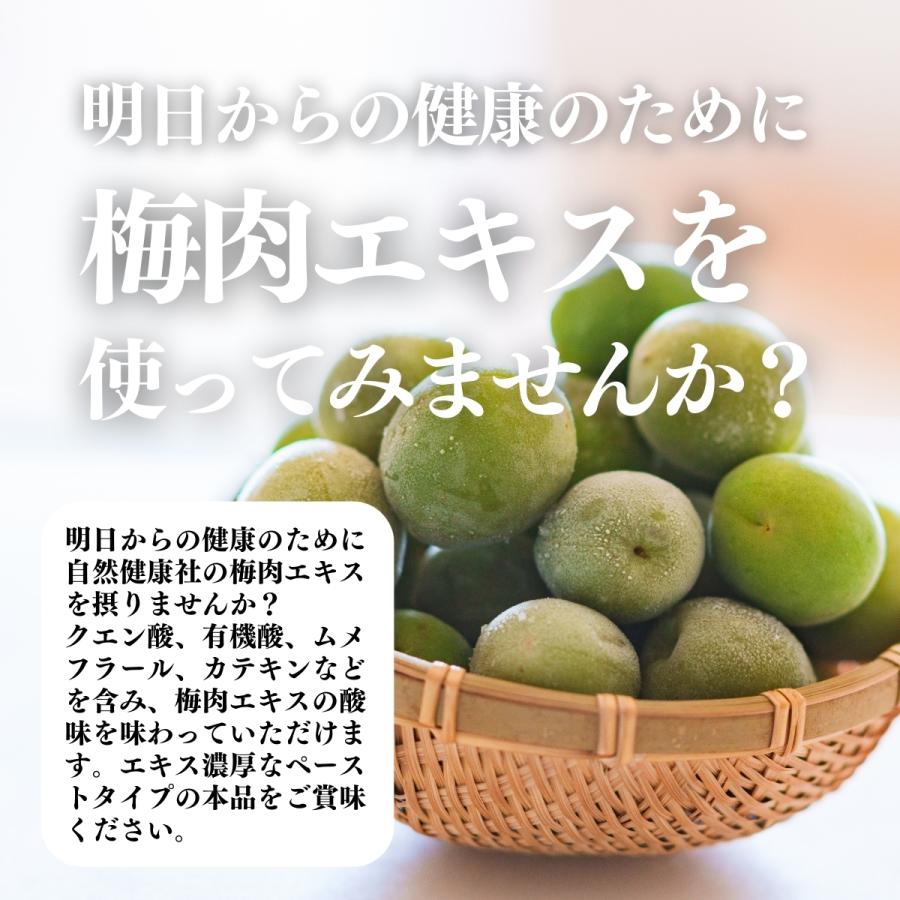 梅肉エキス 140g×5個 梅エキス 無添加 紀州 和歌山県産 ペースト 練り状 | 自然健康社 | 11
