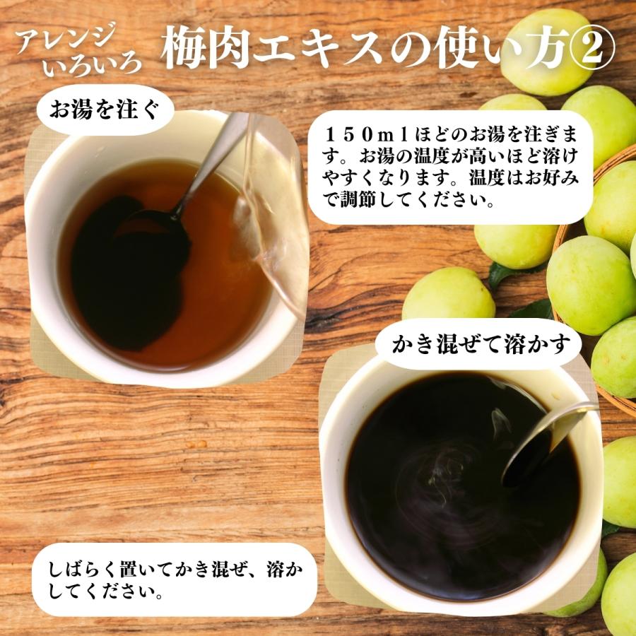 梅肉エキス 140g×5個 梅エキス 無添加 紀州 和歌山県産 ペースト 練り状 | 自然健康社 | 13