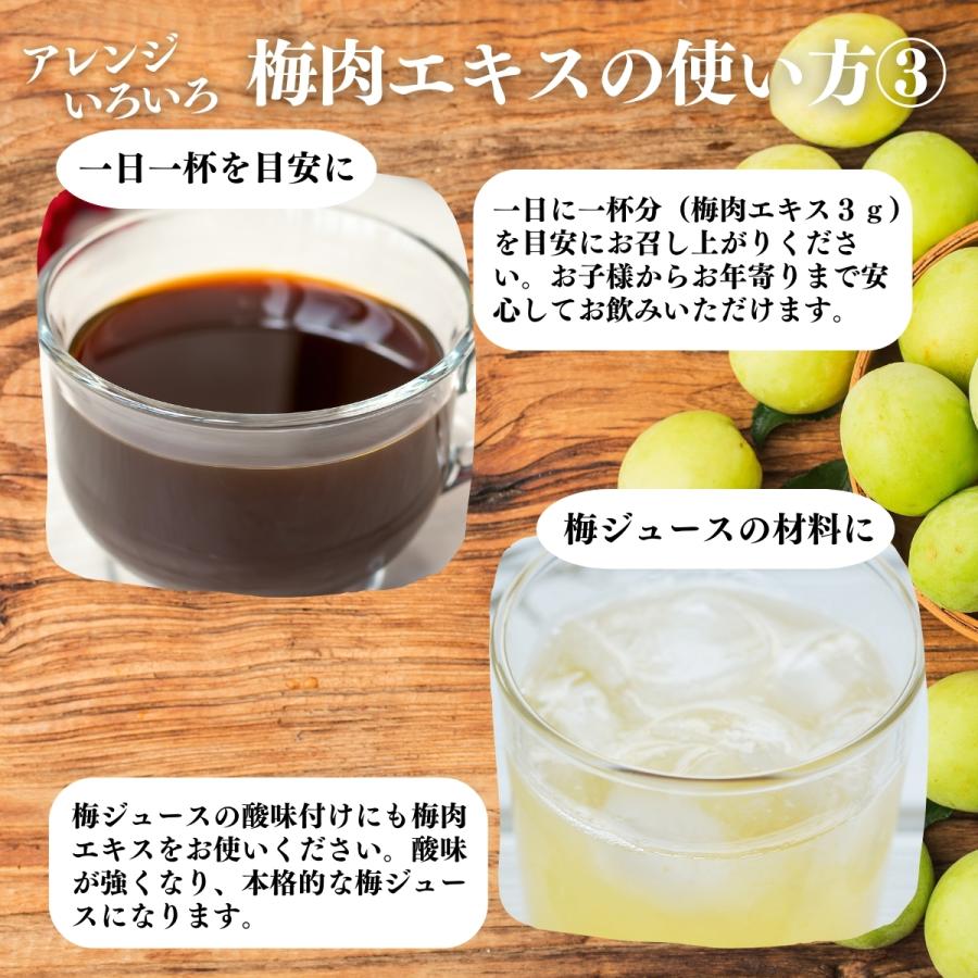 梅肉エキス 140g×5個 梅エキス 無添加 紀州 和歌山県産 ペースト 練り状 | 自然健康社 | 14