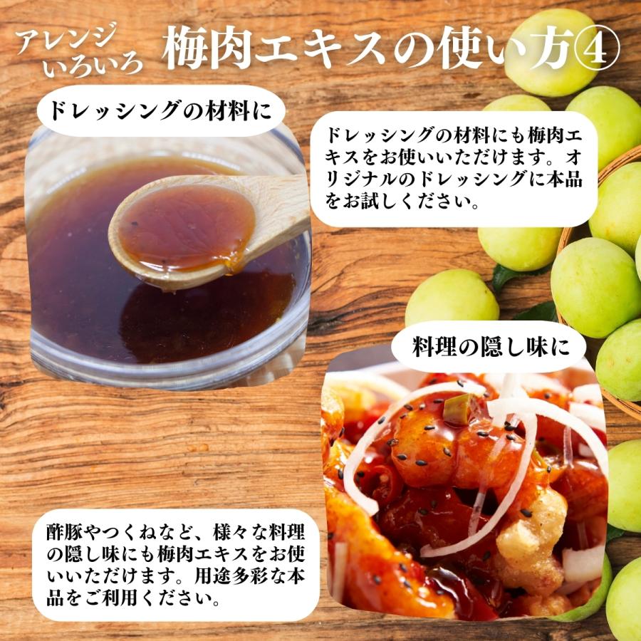 梅肉エキス 140g×5個 梅エキス 無添加 紀州 和歌山県産 ペースト 練り状 | 自然健康社 | 15