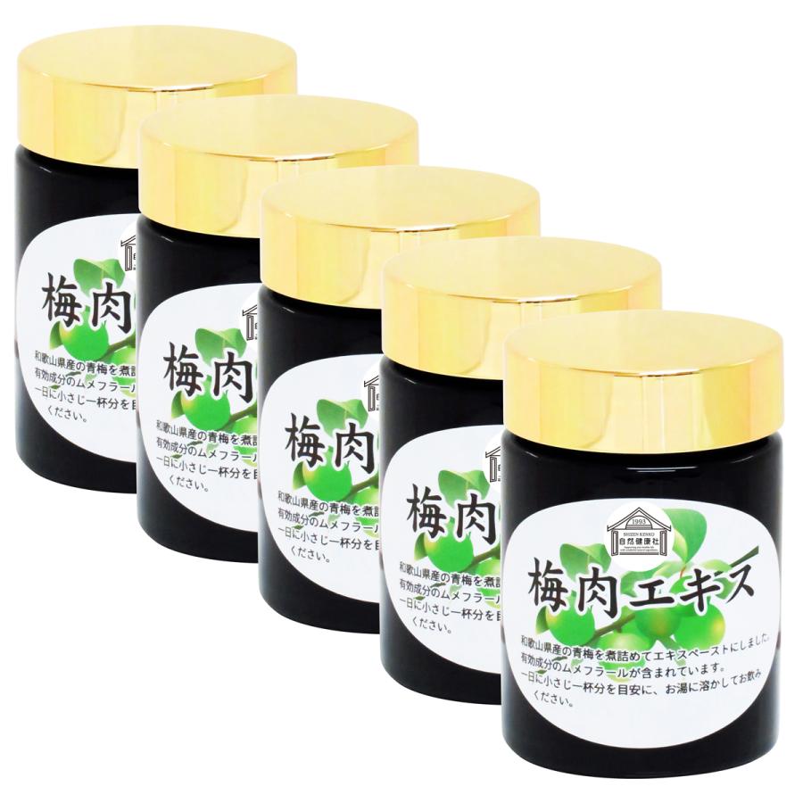 梅肉エキス 140g×5個 梅エキス 無添加 紀州 和歌山県産 ペースト 練り状 | 自然健康社 | 01