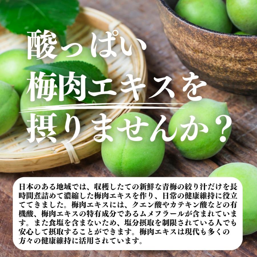 梅肉エキス 140g×5個 梅エキス 無添加 紀州 和歌山県産 ペースト 練り状 | 自然健康社 | 07