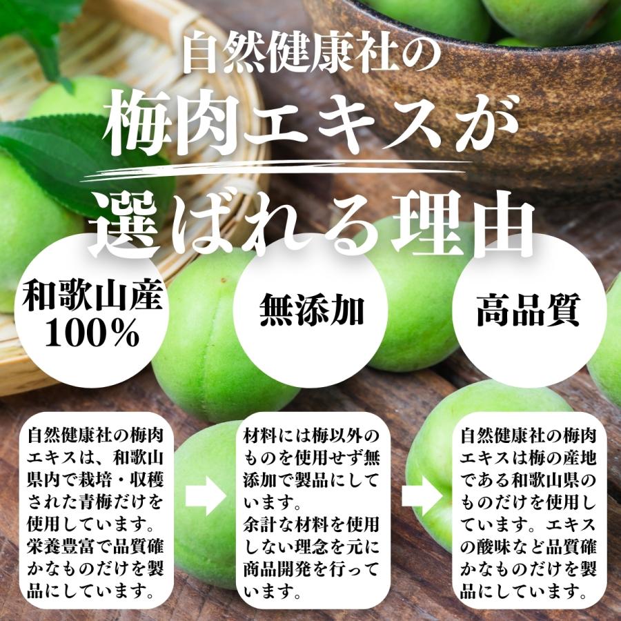 梅肉エキス 140g×5個 梅エキス 無添加 紀州 和歌山県産 ペースト 練り状 | 自然健康社 | 08