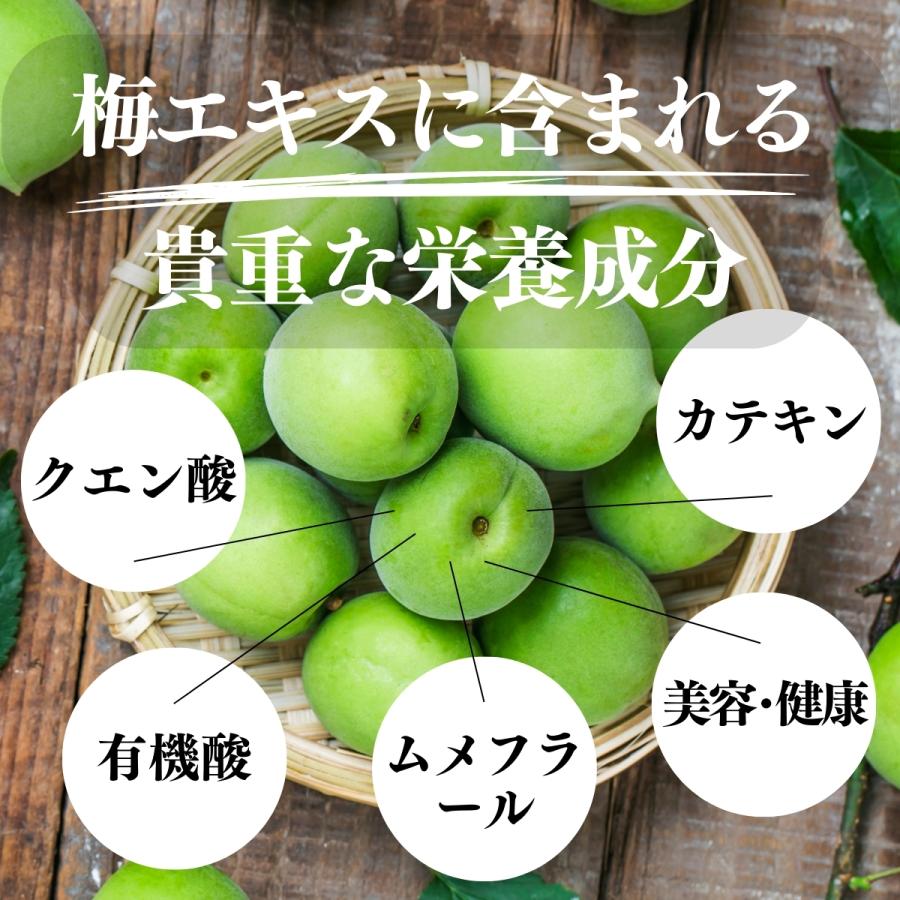 梅肉エキス 140g×5個 梅エキス 無添加 紀州 和歌山県産 ペースト 練り状 | 自然健康社 | 09