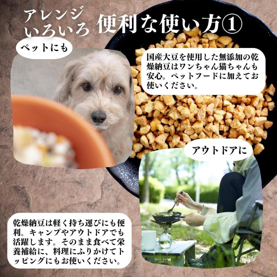 乾燥納豆 1kg×5個 ドライ納豆 ひきわり納豆 無添加 犬 国産の画像