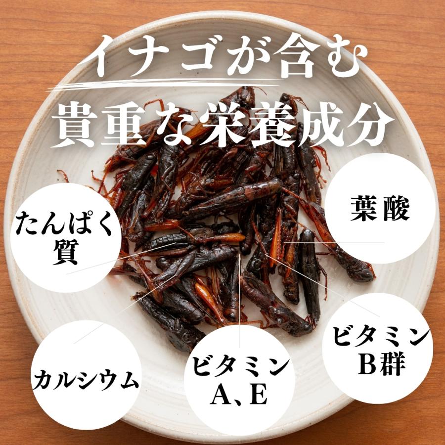 イナゴの佃煮 500g×5個 いなご 甘露煮 珍味 昆虫食 小えび 食感 爆買 | 自然健康社 | 05