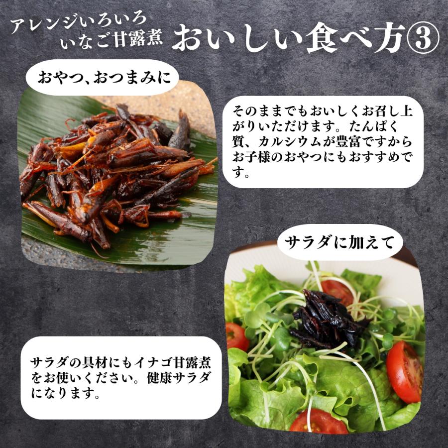 イナゴの佃煮 500g×5個 いなご 甘露煮 珍味 昆虫食 小えび 食感 爆買 | 自然健康社 | 09