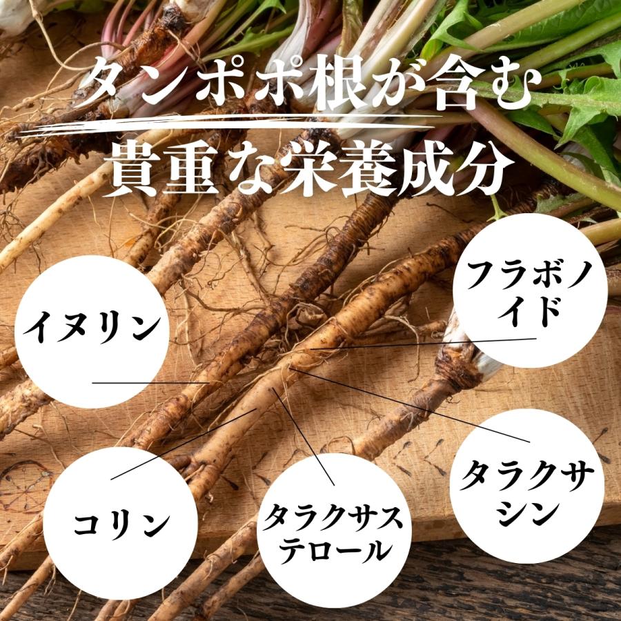 タンポポコーヒー 30パック×5個 たんぽぽ茶 たんぽぽコーヒー | 自然健康社 | 06