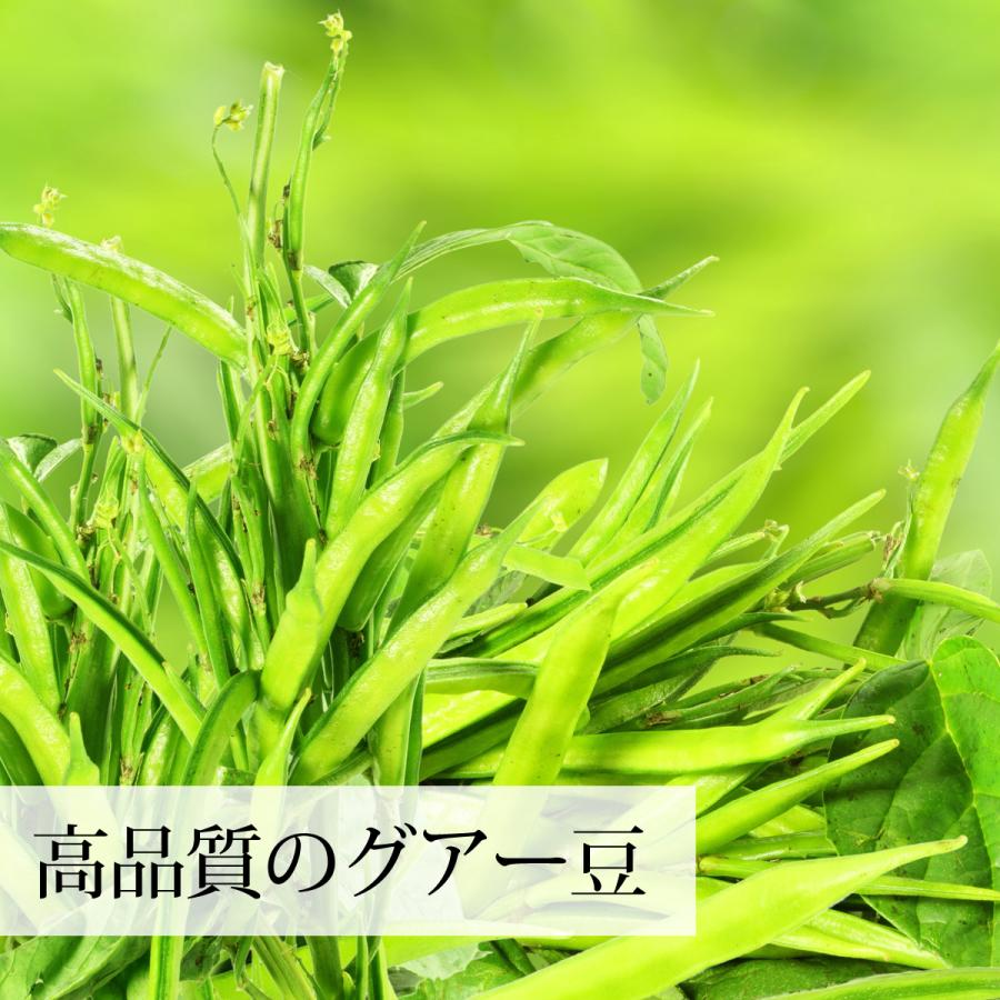 グアー豆の食物繊維 1kg×5個 グアーガム分解物 水溶性食物繊維 グアーガム分解物